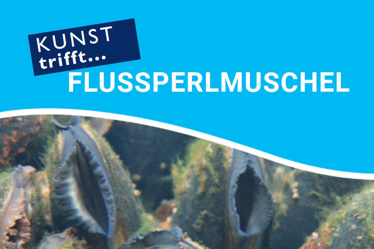 Read more about the article Kunst trifft Flussperlmuschel