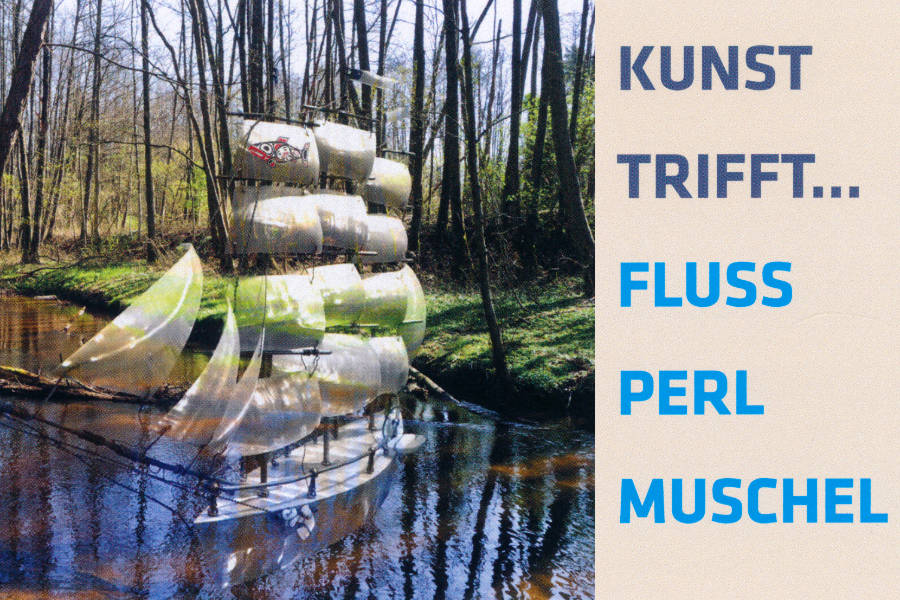 Read more about the article Kunst trifft Flussperlmuschel in Dresden