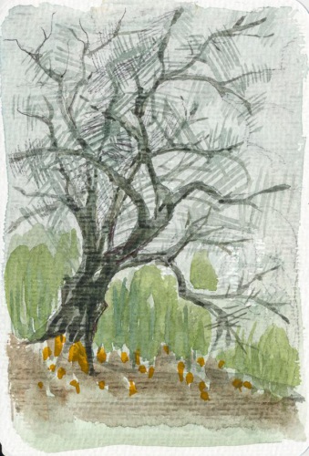 Hannelore Scheerbaum